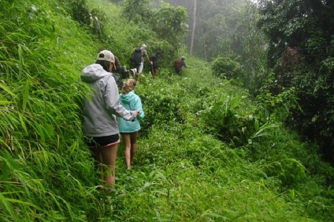 Hiking and Zipline Private Tour from Chiang Mai +Karen Village - Leaving Chiang Mai for jungles, waterfalls, and a Karen community