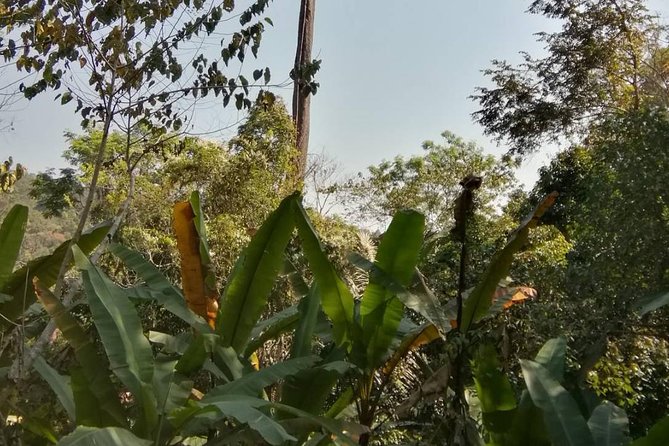 Hiking and Zipline Private Tour from Chiang Mai +Karen Village - Mae Taeng River time: stretching the nature day beyond one stop