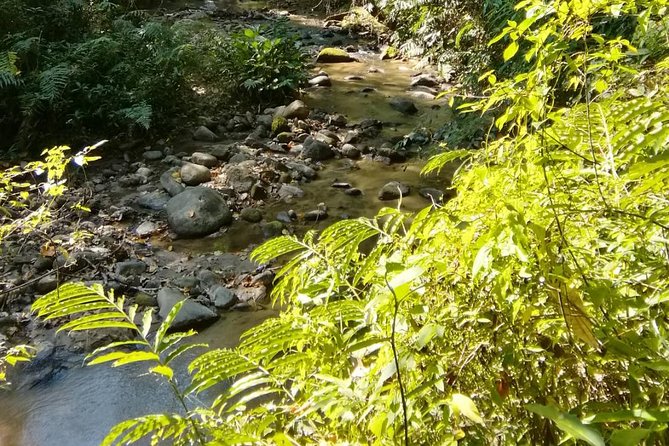 Hiking and Zipline Private Tour from Chiang Mai +Karen Village - Lunch included: simple comfort on a long, active schedule