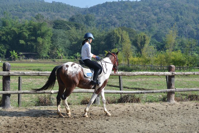 Horse Lesson+Riding+Wat Tonkwen wooden temple.Chiangmai - Quick hits before you go