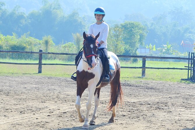 Horse Lesson+Riding+Wat Tonkwen wooden temple.Chiangmai - Riding the mountain path: hill views and Thai jungle scenery