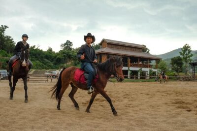 Horse Lesson+Riding+Wat Tonkwen wooden temple.Chiangmai - Horse park lesson: stables, horse care, and getting confident fast