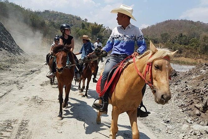 Horse Lesson+Riding+Wat Tonkwen wooden temple.Chiangmai - Price of $100.52: what you’re actually getting for the money