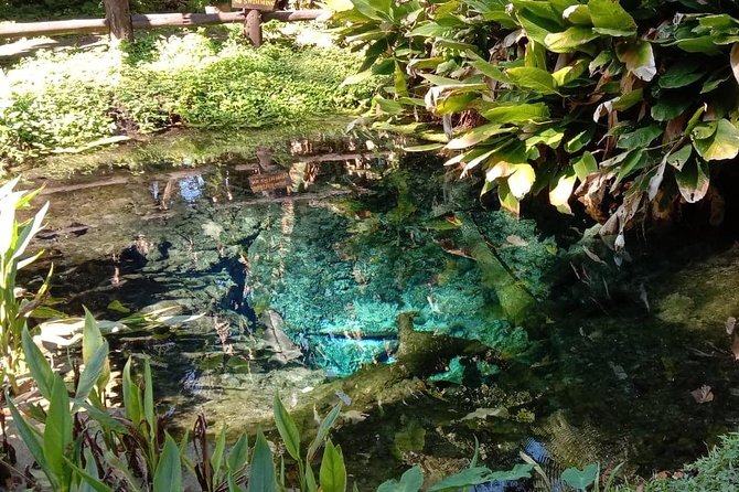Hot! Doisuthep Temple+Wat Palad+Sticky waterfall - Why this Doi Suthep + Wat Pha Lat + Sticky Waterfall day works