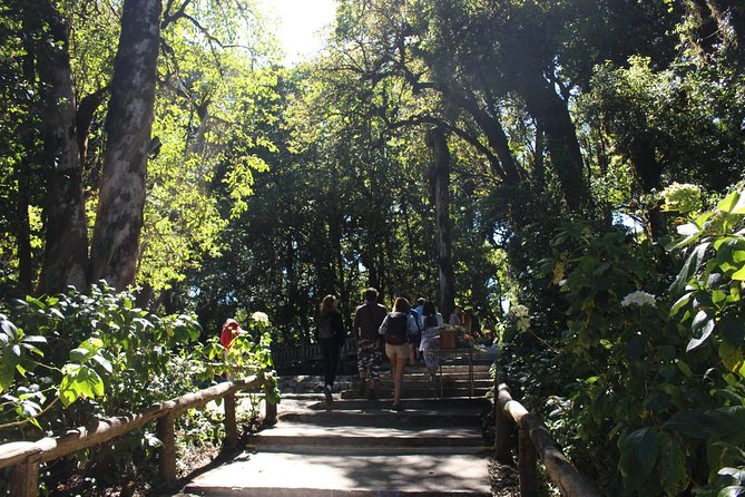 Inthanon Day Trip from Chiang Mai with Lunch - Group or Private - Ang Ka Nature Trail Walk: Short, Doable, and Still Worth Your Shoes