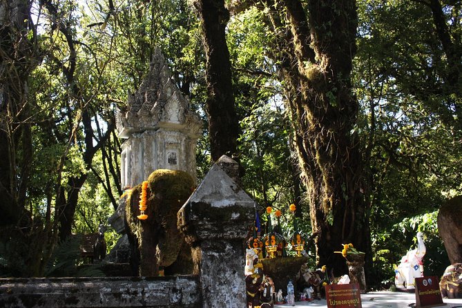 Inthanon Day Trip from Chiang Mai with Lunch - Group or Private - Ban Mae Klang Luang Karen Village: Coffee, Culture, and Respectful Time