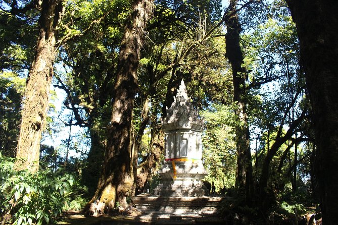 Inthanon Day Trip from Chiang Mai with Lunch - Group or Private - Lunch and the Small Details That Make This Day Feel Easy