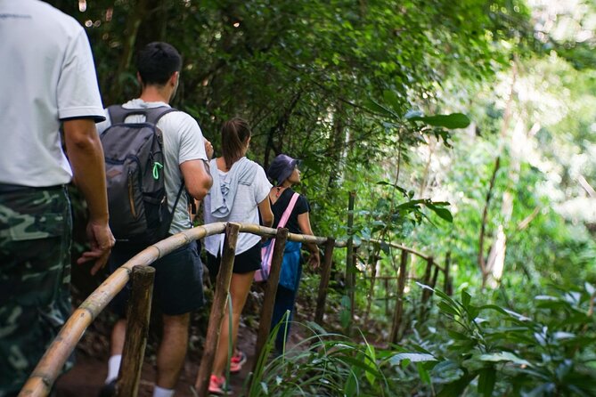 Inthanon National Park Tour with Soft Hike at Pha Dok Siew Trail - From Chiang Mai pickup to Doi Inthanon: the morning rhythm that works