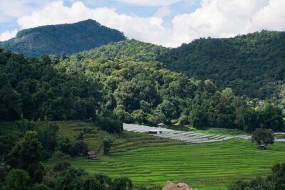 Inthanon National Park Tour with Soft Hike at Pha Dok Siew Trail - Ang Ka Nature Trail: a short rainforest taste with birds and plants
