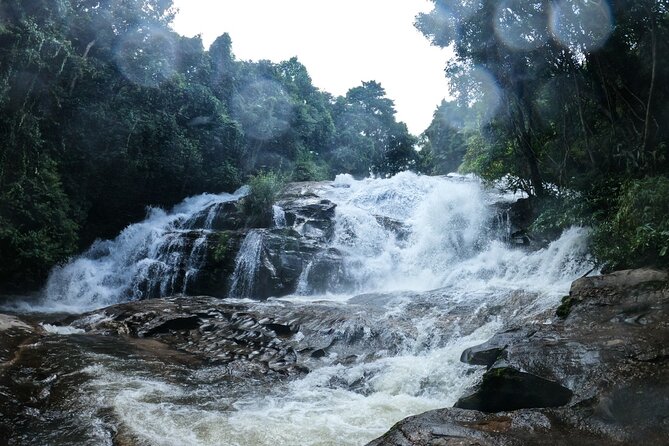 Inthanon National Park Tour with Soft Hike at Pha Dok Siew Trail - Royal Agricultural Station Inthanon: lunch where the food story has roots