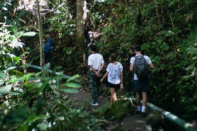 Inthanon National Park Tour with Soft Hike at Pha Dok Siew Trail - Ban Mae Klang Luang and Karen hill-tribe coffee: the human part of the day