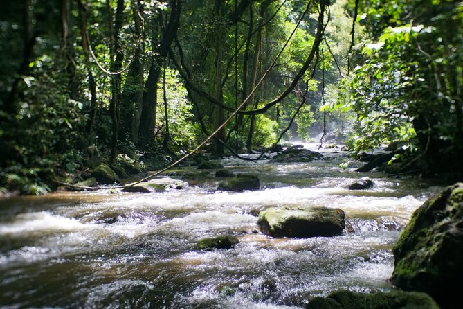 Inthanon National Park Tour with Soft Hike at Pha Dok Siew Trail - Price and included value: what you’re paying for (and what you’re not)