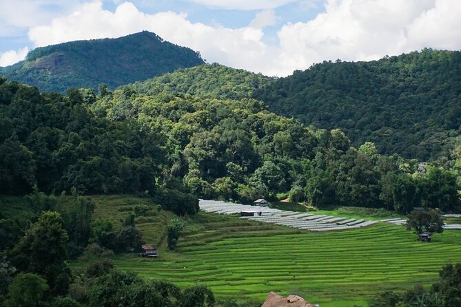 Inthanon National Park Tour with Soft Hike at Pha Dok Siew Trail - Ang Ka Nature Trail: a short rainforest taste with birds and plants