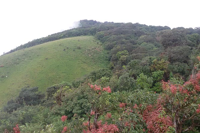 Inthanon Small-Group with Kew Mae Pan Trail from Chiang Mai include Lunch - From Chiang Mai to Doi Inthanon: A Day That Actually Holds Together