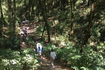 Inthanon Small-Group with Kew Mae Pan Trail from Chiang Mai include Lunch - Pickup, Transport, and Group Size That Keeps You Comfortable