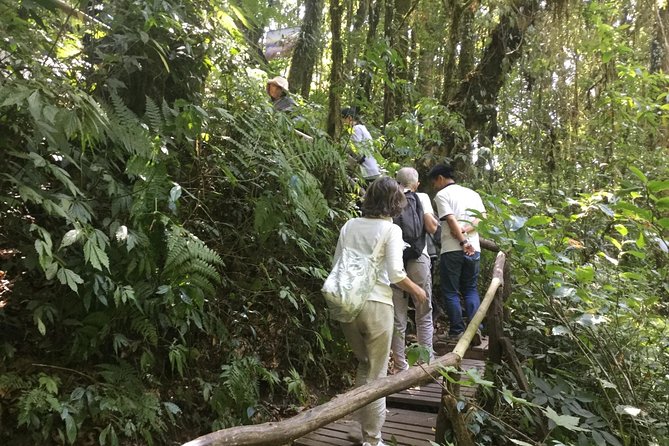 Inthanon Small-Group with Kew Mae Pan Trail from Chiang Mai include Lunch - The Royal Agricultural Project: Lunch That Makes Sense
