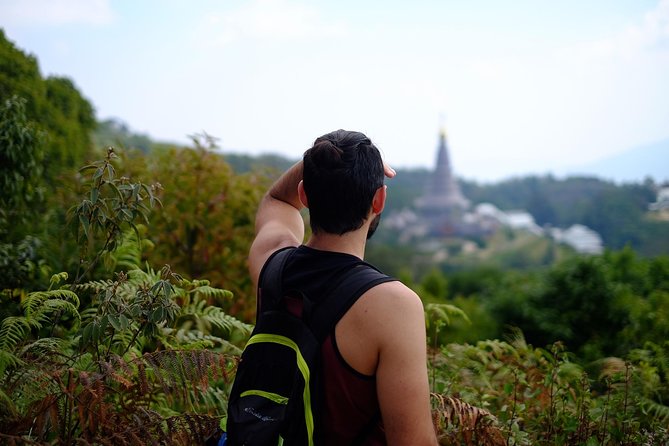 Inthanon Small-Group with Kew Mae Pan Trail from Chiang Mai include Lunch - Kew Mae Pan Nature Trail: A Gentle Hike With Real Variety