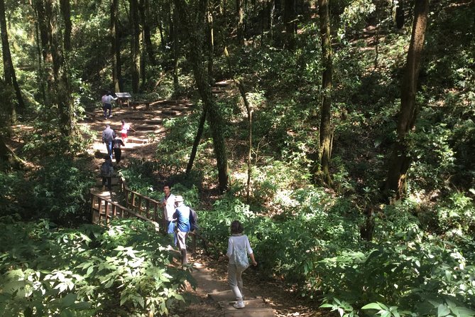 Inthanon Small-Group with Kew Mae Pan Trail from Chiang Mai include Lunch - Pickup, Transport, and Group Size That Keeps You Comfortable
