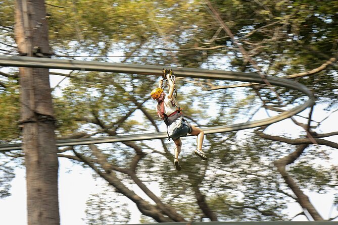 Jungle Flight Zipline Adventure From Chiang Mai - Key Highlights You’ll Care About