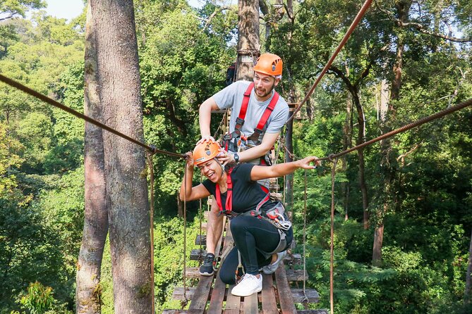 Jungle Flight Zipline Adventure From Chiang Mai - Sky Walk Among Ancient Trees (and the Rainforest Lesson)
