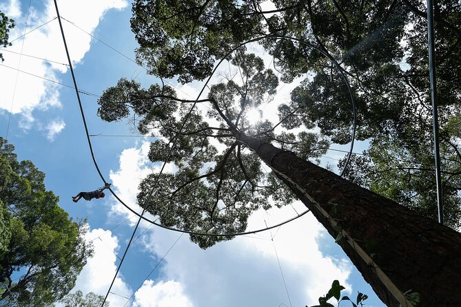 Jungle Flight Zipline Adventure From Chiang Mai - Price and Value: Why $99.12 Can Make Sense Here