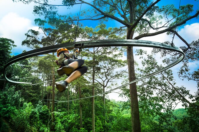 Jungle Flight Zipline Roller Coaster - Key highlights you’ll feel on the day