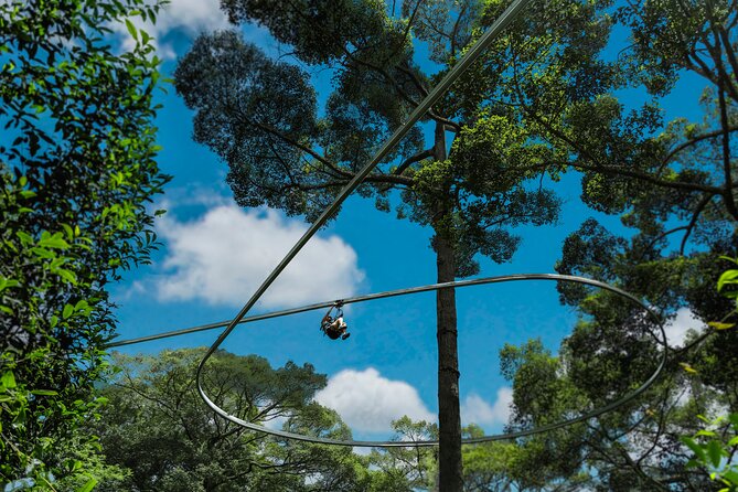 Jungle Flight Zipline Roller Coaster - The jungle roller coaster: your finale and why it feels different