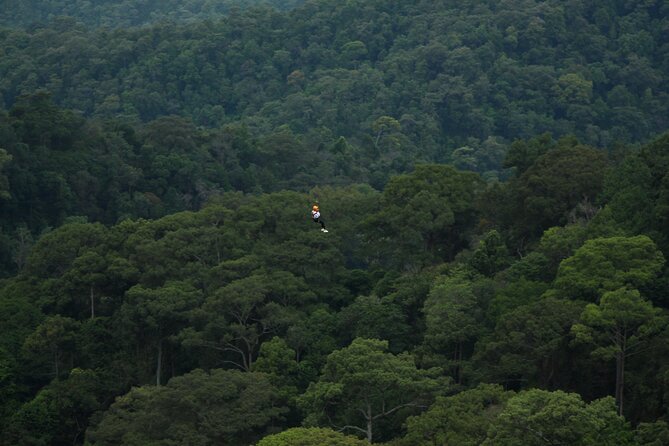 Jungle Flight Zipline Roller Coaster - What to wear and pack for comfort (so the day stays fun)