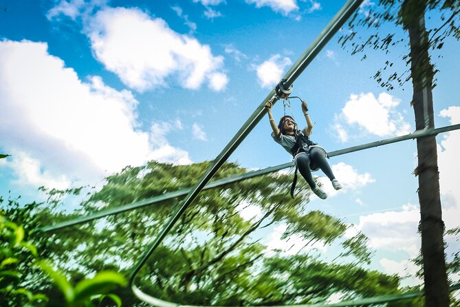Jungle Flight Zipline Roller Coaster - About 15 ziplines: how the long lines and short sections work together