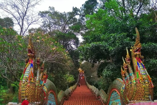 Lady Driver and Guide - Wat Pha Lat: the jungle temple moment before you wrap up