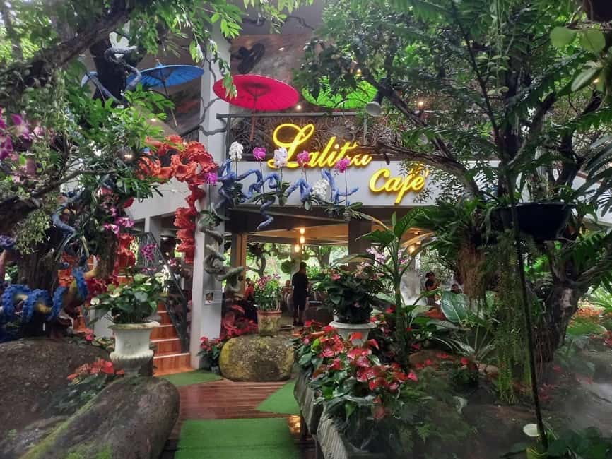 Lalita Cafe & Chiang Rai Temple(White+Blue) from Chiangmai - Price and value: what $51 buys you in real time