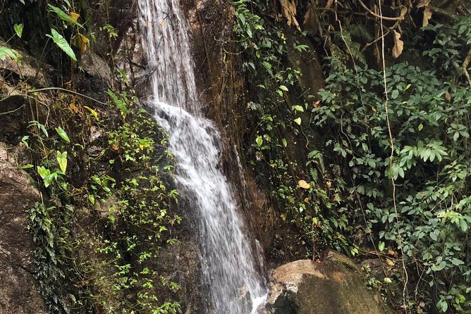 Lost in Chiang Mai - Secret Village, Hot Spring & Waterfall - A Cultural Therapy - What You Should Plan for: Food and Comfort Items
