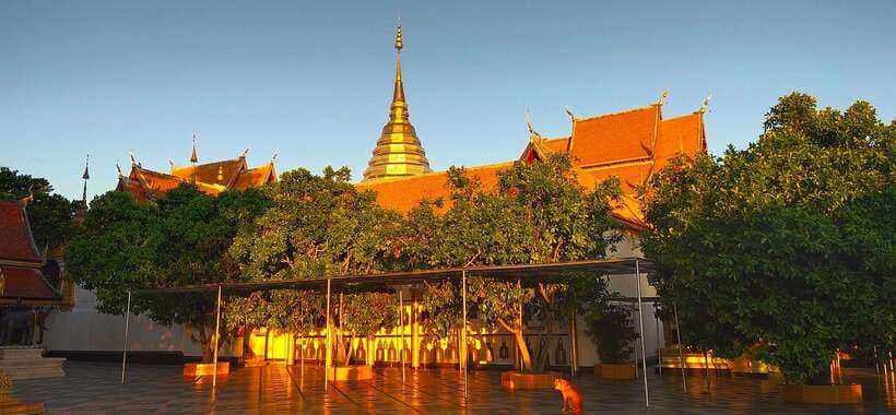 Monk trails hike, Wat Phalat, Monk chanting, Wat Doi Suthep. - Who Should Book This Monk Trails + Doi Suthep Tour