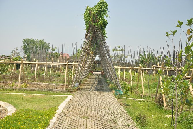 Morning Cooking Class in Organic Farm with Local Market Tour - What You’ll Actually Cook (and Why the Order Matters)