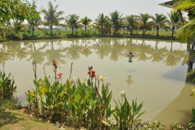 Morning Cooking Class in Organic Farm with Local Market Tour - The Best Thai Cooking Course Farm Setup: Open-Air, Clean Tools, Your Own Station