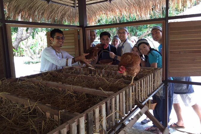 Morning Cooking Class in Traditional Pavilion with Beautiful Garden - Chiang Mai - Price and Value: Is $50.50 Worth a 4-Hour Small-Group Morning?