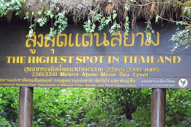 Mount Doi Inthanon Hiking & Bird Watching - Mountain views at 2,565 m: what to expect
