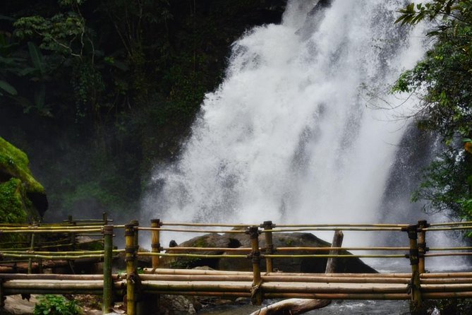 Mount Doi Inthanon Hiking & Bird Watching - What to pack: the practical stuff that makes or breaks it