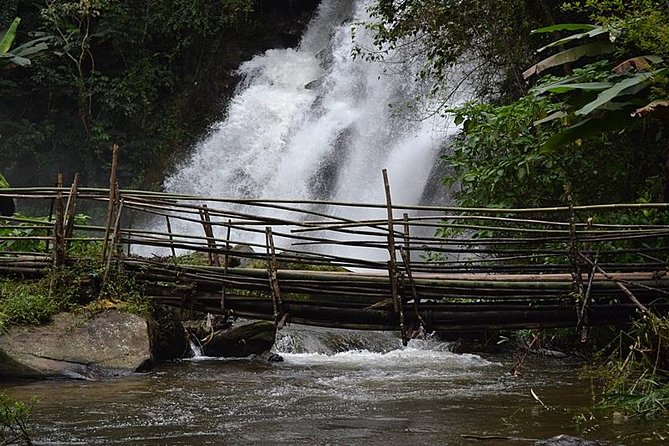 Mount Doi Inthanon National Park Sunrise and Hiking - Stop 2: Pha Dok Seaw Nature Trail, Rice Fields, Flowers, and Coffee by Tradition