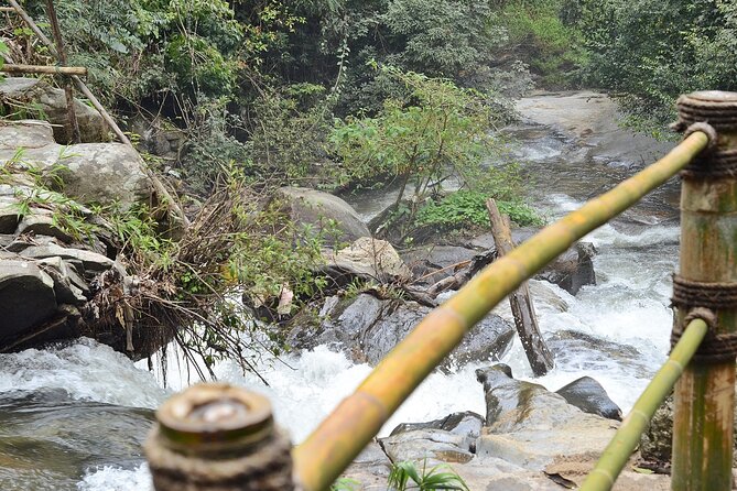 Mount Doi Inthanon National Park Sunrise and Hiking - Guides, Pace, and Group Size: Why This Can Feel Like Your Day