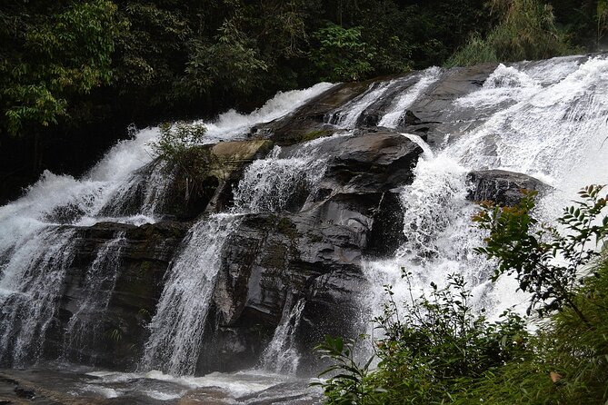 Mount Doi Inthanon National Park Sunrise and Hiking - Food on This Tour: Breakfast Box, Local Lunch, and Coffee Breaks That Actually Matter