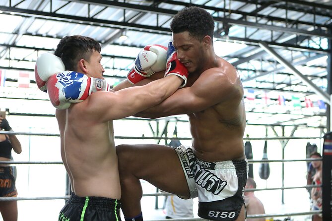 Muay Thai Experience - 1/2 Day - Why this Muay Thai feels like the real Chiang Mai version