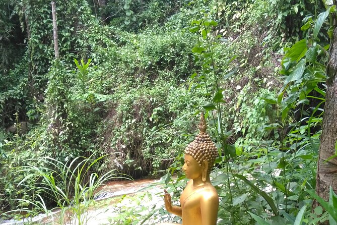 No.1 Chiang Mai: 3-Hour Monk Trail Hike to Wat Doi Suthep & Palad - Temple Time at Wat Phra That Doi Suthep (Without the Rush)