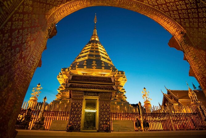 No.1 Chiang Mai: Advanced Downhill Mountain Biking, Suthep N.Park - Key highlights worth caring about