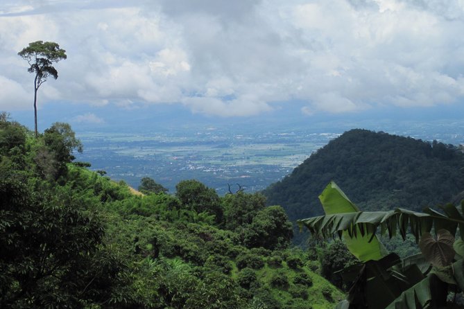 No.1 Chiang Mai: Advanced Downhill Mountain Biking, Suthep N.Park - Coffee stop, rutted track control, and the rain test