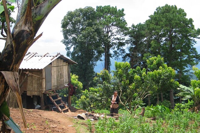 No.1 Chiang Mai: Advanced Downhill Mountain Biking, Suthep N.Park - Lunch and swim at Lake Huay Tueng Thao