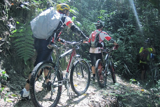 No.1 Chiang Mai: Advanced XC Downhill Biking, Doi Suthep N. Park - Getting started from Chiang Mai: the morning flow that keeps you sane