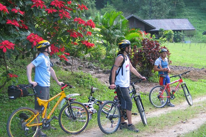 No.1 Chiang Mai: Advanced XC Downhill Biking, Doi Suthep N. Park - Coffee in the forest: a pause that actually helps