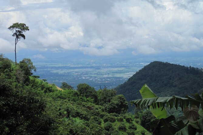No.1 Chiang Mai: Advanced XC Downhill Biking, Doi Suthep N. Park - Doi Pui viewpoints: temples and palace scenery from the bike line