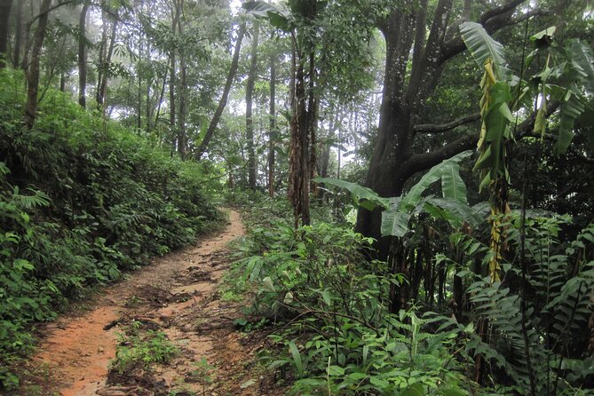 No.1 Chiang Mai: Advanced XC Downhill Biking, Doi Suthep N. Park - Finish at Lake Huay Tueng Tao: lunch and recovery time